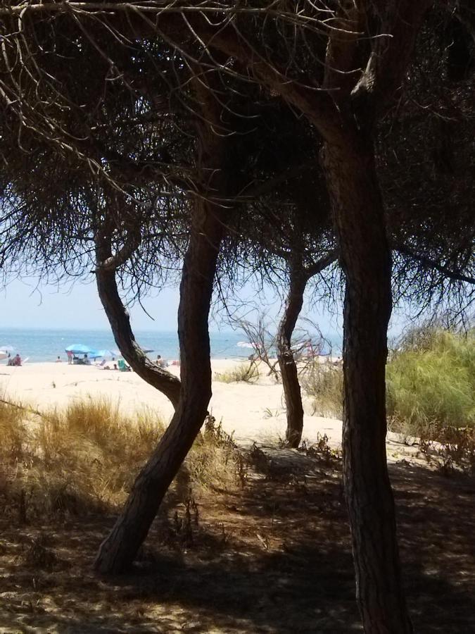 Sol Y Mar Βίλα Isla Cristina Εξωτερικό φωτογραφία